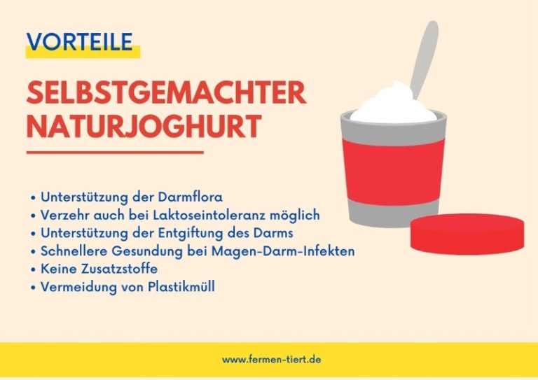 Naturjoghurt Gut Für Den Darm