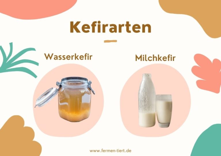 Was ist Kefir und wie schmeckt Kefir? fermentiert